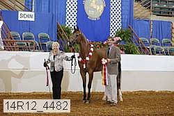 14r12_4482 proof