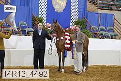 14r12_4492 proof