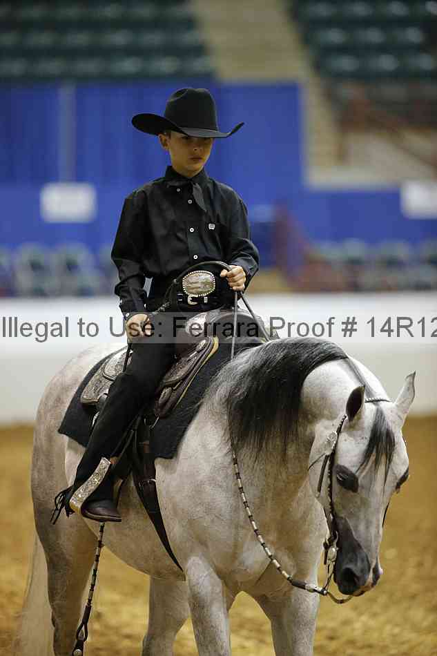 Proof 14r12_4532