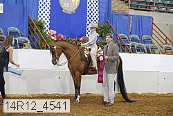 14r12_4541 proof