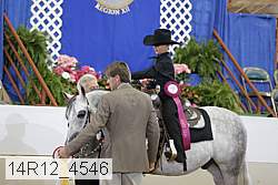 14r12_4546 proof