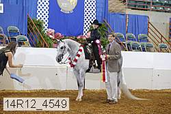 14r12_4549 proof