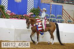 14r12_4584 proof