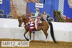 14r12_4586 proof