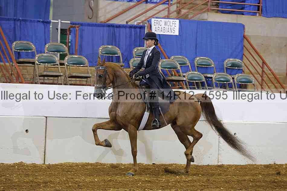 Proof 14r12_4595