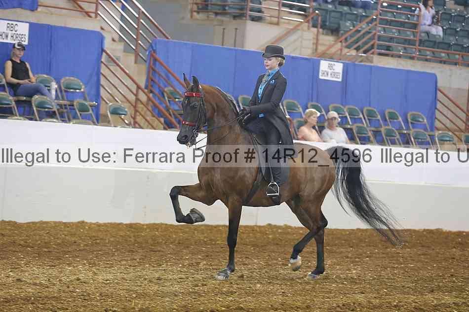 Proof 14r12_4596