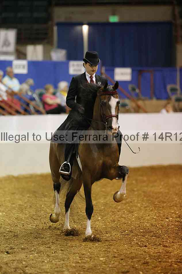 Proof 14r12_4597