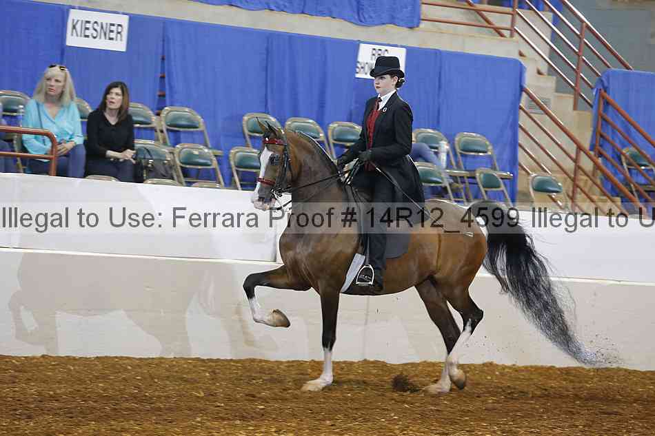 Proof 14r12_4599