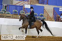 14r12_4600 proof