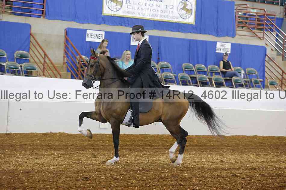 Proof 14r12_4602