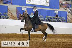 14r12_4602 proof