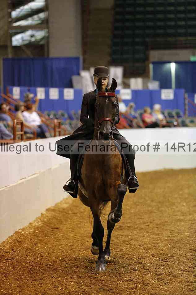 Proof 14r12_4604