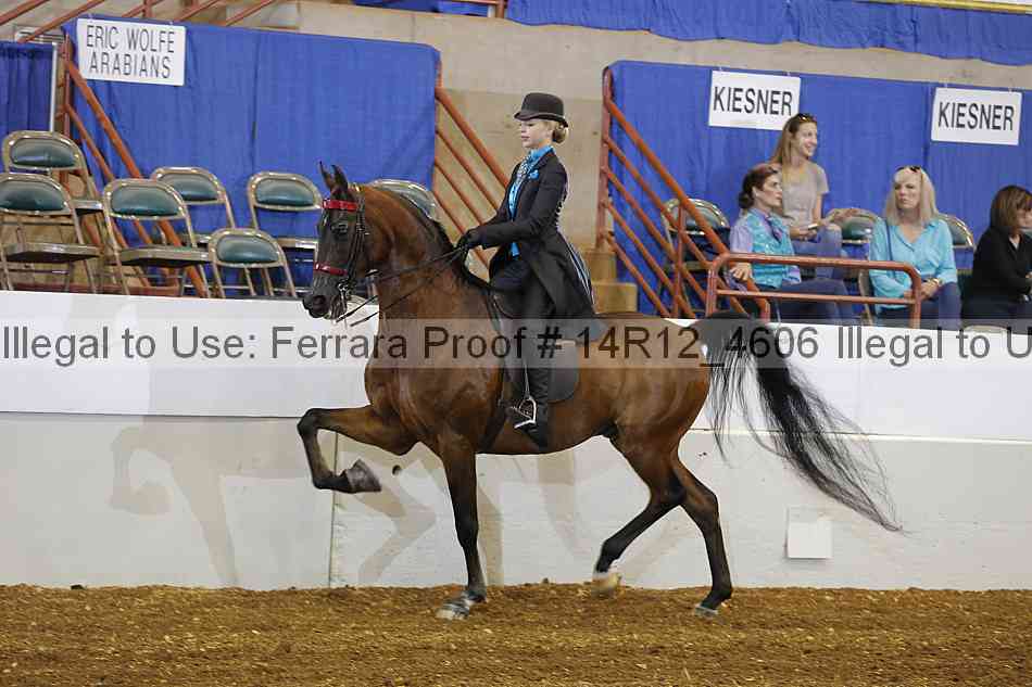 Proof 14r12_4606