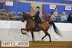 14r12_4606 proof