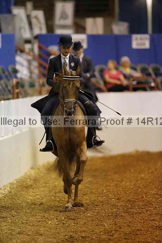 Proof 14r12_4609
