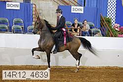 14r12_4639 proof
