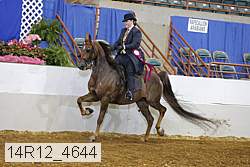 14r12_4644 proof