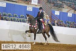 14r12_4648 proof