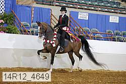 14r12_4649 proof