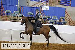 14r12_4663 proof