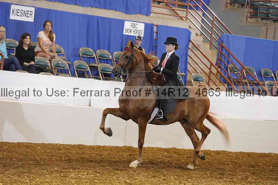Proof 14r12_4665