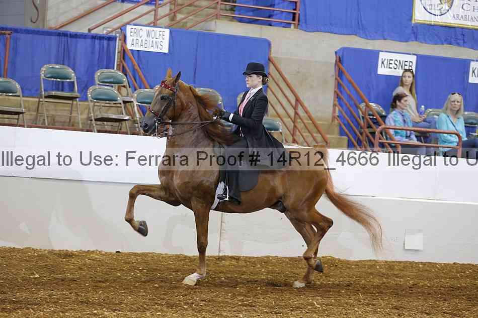 Proof 14r12_4666