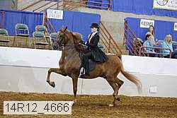 14r12_4666 proof
