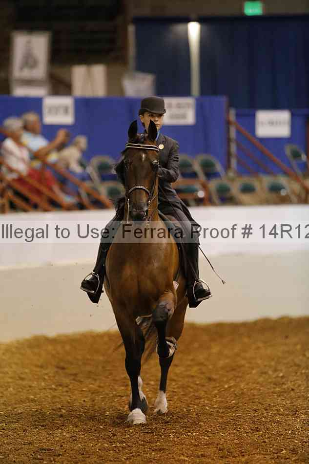 Proof 14r12_4673