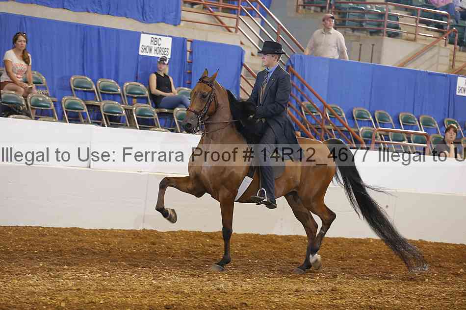 Proof 14r12_4677