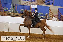 14r12_4683 proof