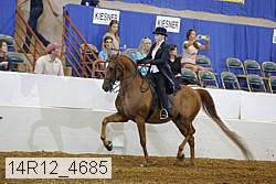 14r12_4685 proof