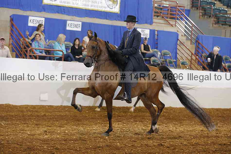 Proof 14r12_4696