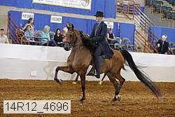 14r12_4696 proof