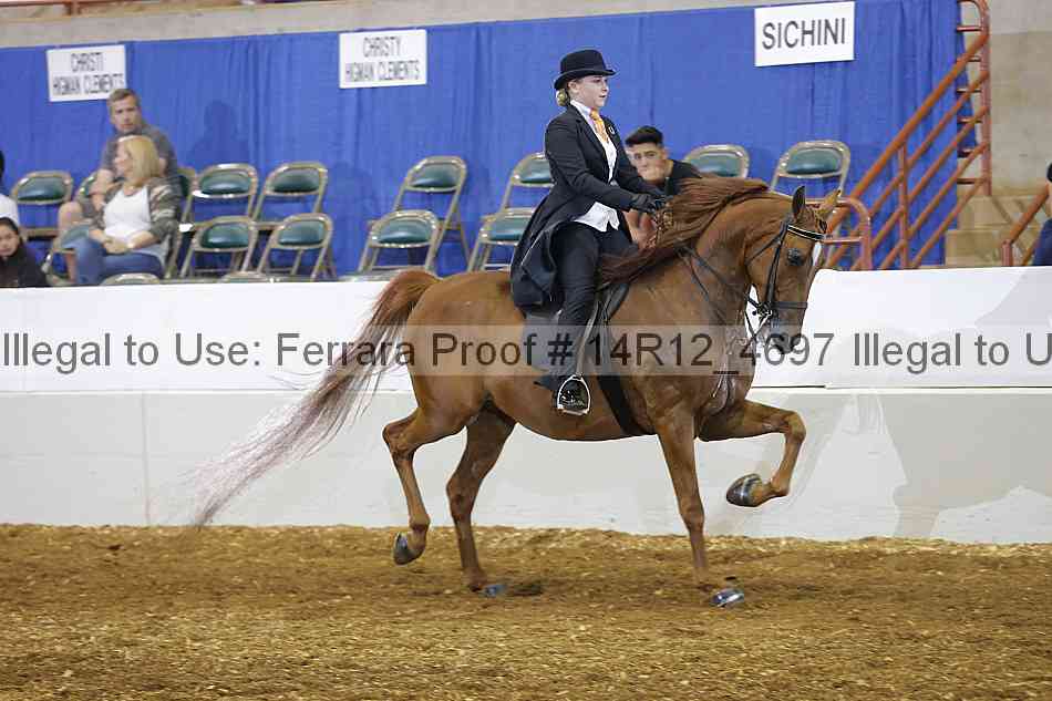 Proof 14r12_4697