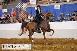 14r12_4700 proof
