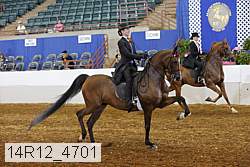 14r12_4701 proof