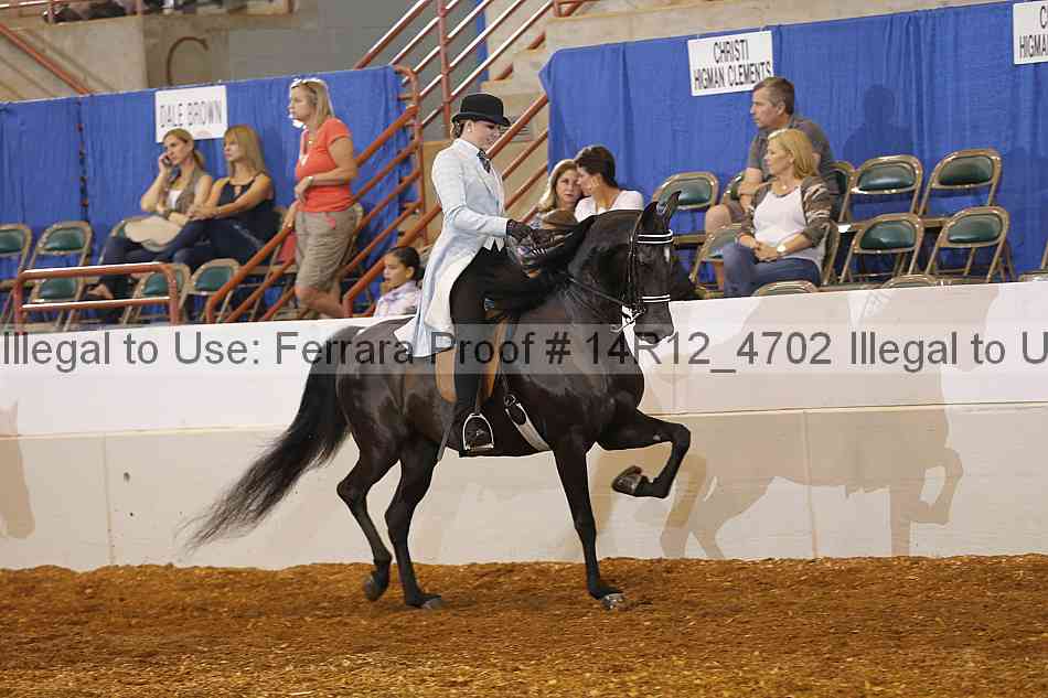 Proof 14r12_4702