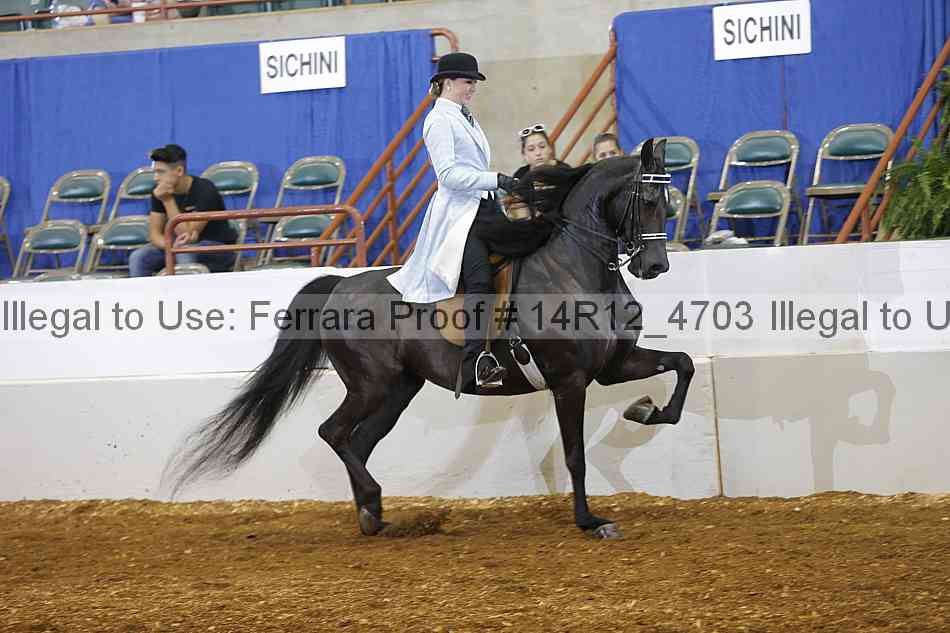 Proof 14r12_4703