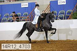 14r12_4703 proof