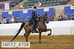 14r12_4704 proof