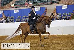 14r12_4705 proof