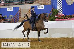 14r12_4706 proof