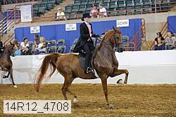 14r12_4708 proof