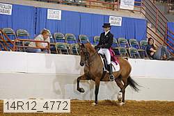14r12_4772 proof