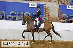 14r12_4774 proof
