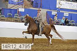 14r12_4795 proof