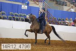 14r12_4796 proof