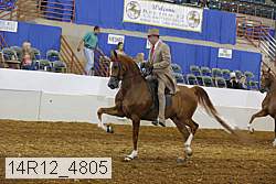 14r12_4805 proof