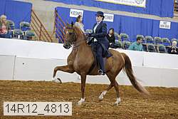 14r12_4813 proof