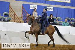 14r12_4818 proof